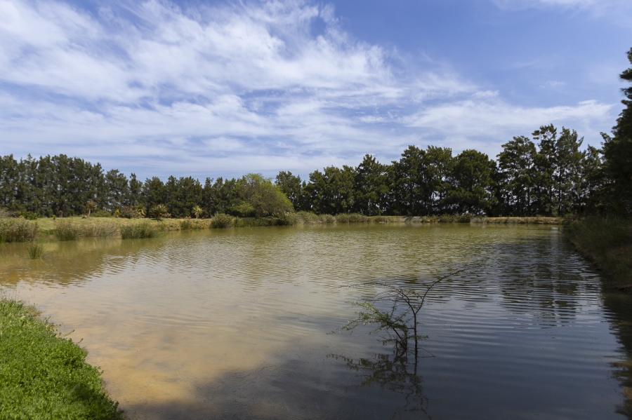 4 Bedroom Property for Sale in Firlands Western Cape